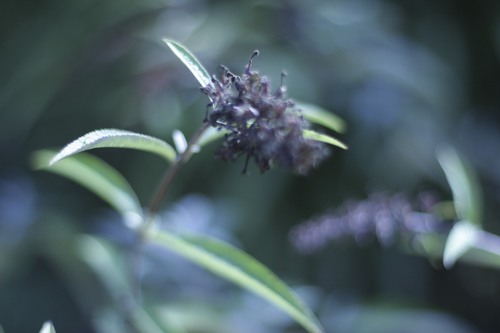 gewoonbio's profile picture. Wij gaan ervoor zorgen dat jij gevonden wordt! Meld je nu alvast aan en wees de eerste die biologisch hip & gewoon maakt!