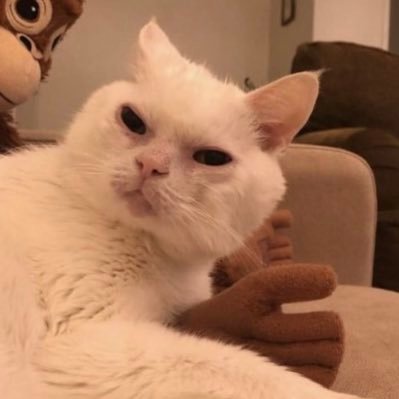 joxxandjuly's profile picture. 