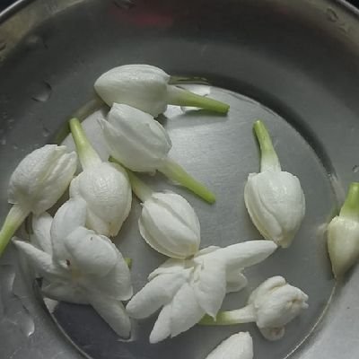 SugirthanSgs's profile picture. i will share best and quality produts from amazon