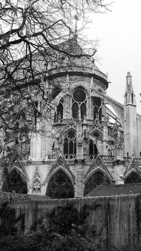 karenmelliott's profile picture. a wife mom kitty wrangler & tech content creator...all around geeky girl