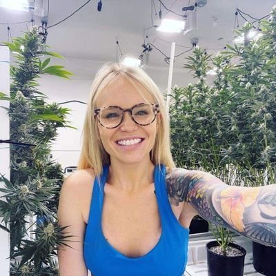 New Account, follow me back here 🙏 License Supplier of Top quality cannabis strains, cartridges shrooms, vapes, Edibles, DM to place your orders for Shipping