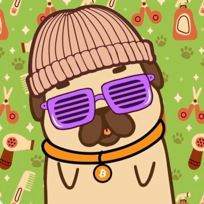 knokzyyy's profile picture. 