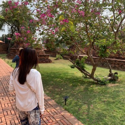 __shigemi's profile picture. SE/AWS/動画制作/SHE卒