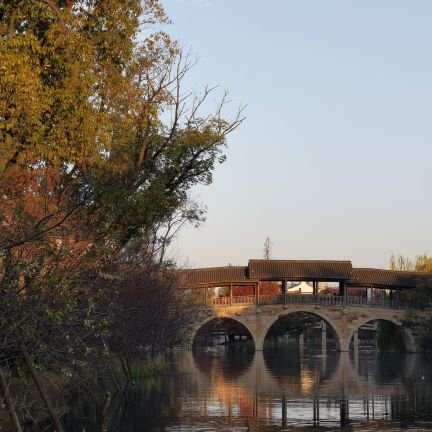 Pimma_ice's profile picture. Premaritualism