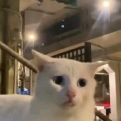 sadaf_wtff's profile picture. 