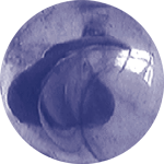 orfeusonline's profile picture. Computerprogramma voor verloskundigen in de 1e en 2e lijn. Obstetrisch Registratie Feedback en UitwisselingsSysteem.
Helpdesk: orfeus@orfeus.nl