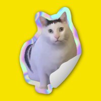 Animal Trivia (Caticker: Cat Meme Stickers App)(@caticker_) 's Twitter Profile Photo