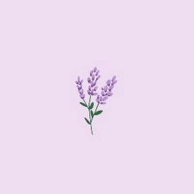 ketipungbawang's profile picture. 