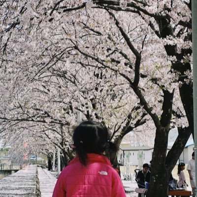 jerrydiary's profile picture. 여러분을 위한 양질의 헛소리