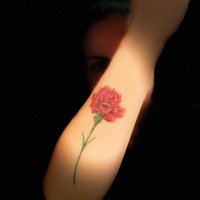 Dr Joana Valdez-Tullett (@joanavaldez) 's Twitter Profile Photo Dr Joana Valdez-Tullett (@joanavaldez) 's Twitter Profile Photo