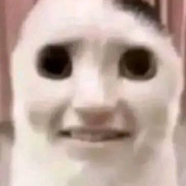 AShnqryht39097's profile picture. 