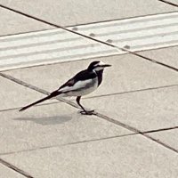 もち (@tvtlb) Twitter profile photo