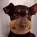 mattyook (@matthewthetwink) Twitter profile photo mattyook (@matthewthetwink) Twitter profile photo