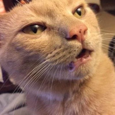 superdupergood2's profile picture. 