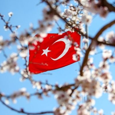 zeynpbh's profile picture. Devletimiz Varolsun

🇹🇷