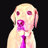 Dog Witty Tie (@witty_solana) 's Twitter Profile