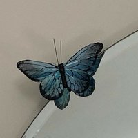 • َأُقُتٌبّأُسًأُتٌ||🦋 (@_aflk89) 's Twitter Profile