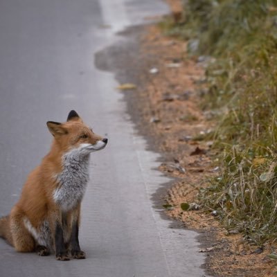 ↓18 お笑い M2022からの新規です 東北民 かなどめって読みます なんの前触れもなくポスト消すこと全然あるので気にしないでください