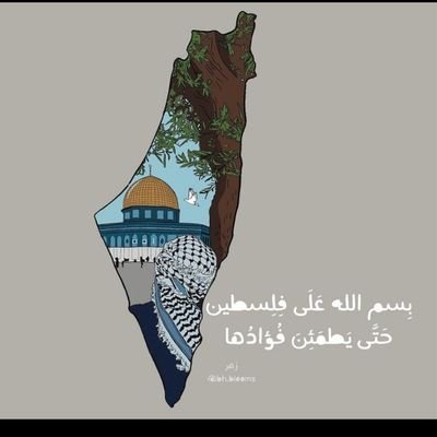 IntesarNakhleh's profile picture. 