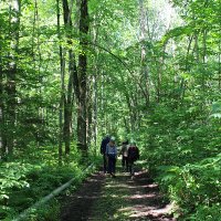 Alliance for a Liveable Ontario - York Region (@stopsprawlyr) 's Twitter Profile