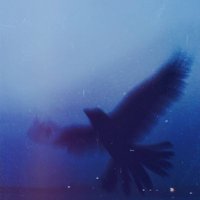 Abdelrahman Mostafa (@nan__slayer) Twitter profile photo