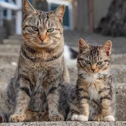 gnoY1LrLe138175's profile picture. 