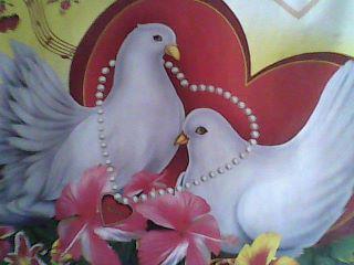 bittuvarma's profile picture. i'm Sooooo Cool and Simple...............!!!!!