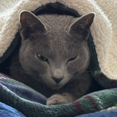 Fumiofumifumi2's profile picture. 