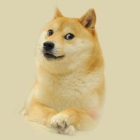 Dogecoin Wizard(@0xhold2moon) 's Twitter Profile Photo