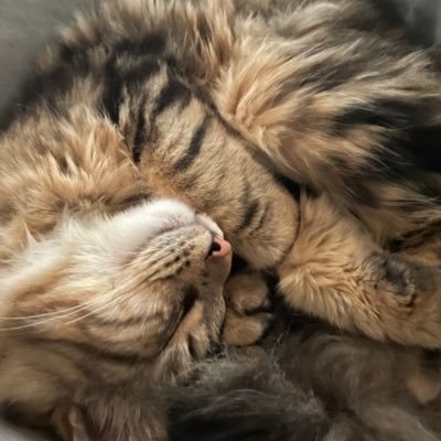 mellbhf's profile picture. 