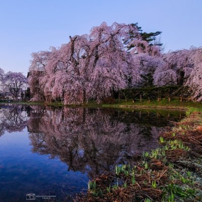 edgedev8's profile picture. 裏垢/🏯