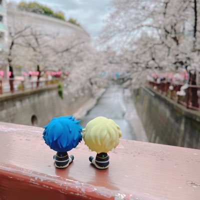 🌊の指先から産まれたいしゃおりんさんのプロフィール画像
