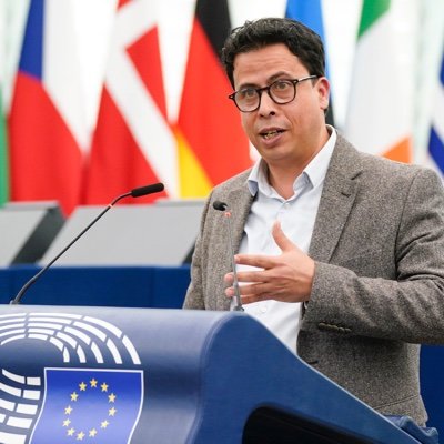 Député européen écologiste @GreensEFA Rapporteur permanent Egypte @Europarl_FR https://t.co/PnhDc4xNHU