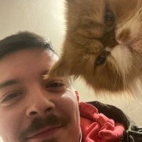 рујан☁️ (@rastereceno) 's Twitter Profile