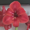 Belinda Murphy - @mur70396 - Twitter