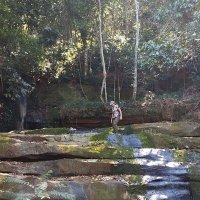 Y é s s (@yess_py) 's Twitter Profile