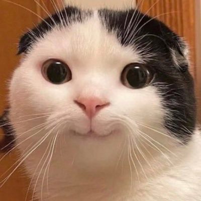 maさんのプロフィール画像