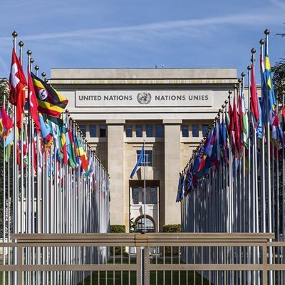 LyesMekroud's profile picture. Senior consultant at the United Nations