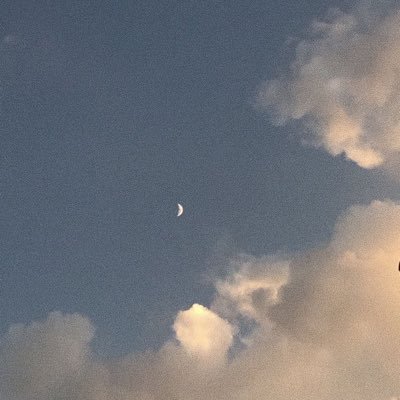 jdjtmdh's profile picture. 双極性障害