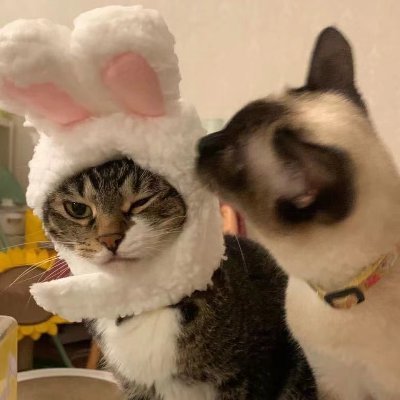 qwe1236911's profile picture. Computational Biology & Bioinformatics