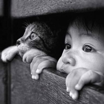 iamnabi_l's profile picture. 