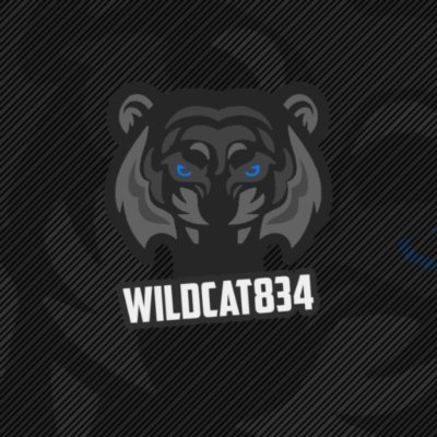 Wildcat834's profile picture. FiveM Community Director at https://t.co/gPJa3YAOMn