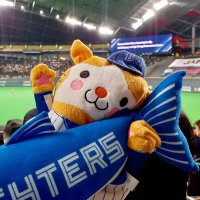 まてぃ⚾(ファーム)(@ma__86CB) 's Twitter Profile Photo