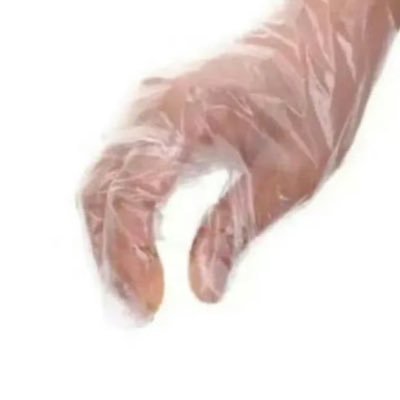 shushoreeee's profile picture. 