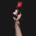 ورد (@wahab_qq) Twitter profile photo ورد (@wahab_qq) Twitter profile photo