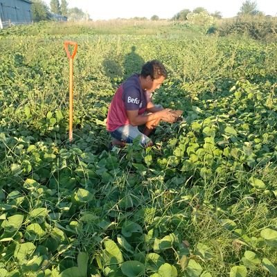 Trabajo en una huerta agroecologica en la localidad de Las Marianas fomentando el turismo y la agroecologia.