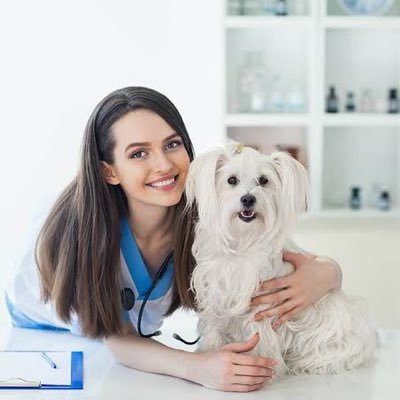 Get Your Pet's Preferable Products from a Veterinarian. We Seek animals that we can care for. So You Can get free Consult About your Pet.