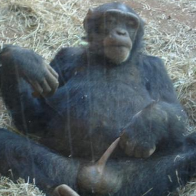 monkey47664's profile picture. 