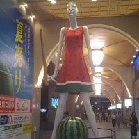 高畑  渡 (@tak1968hat) Twitter profile photo