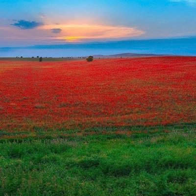 #Paradise in the background photo is my village in #Agdam, recently liberated from the #Armenian occupation, after 27 years. #KarabakhisAzerbaijan